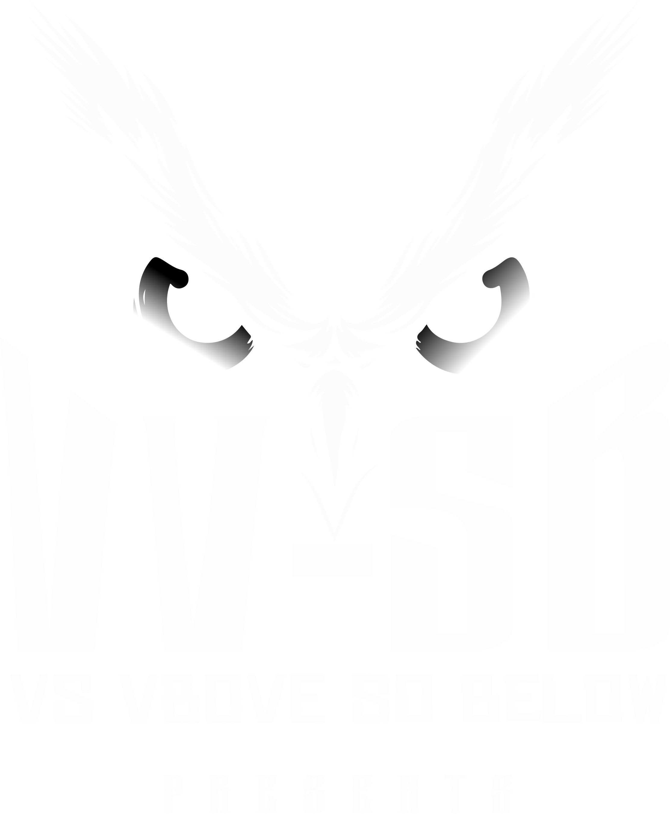 VVSB Logo